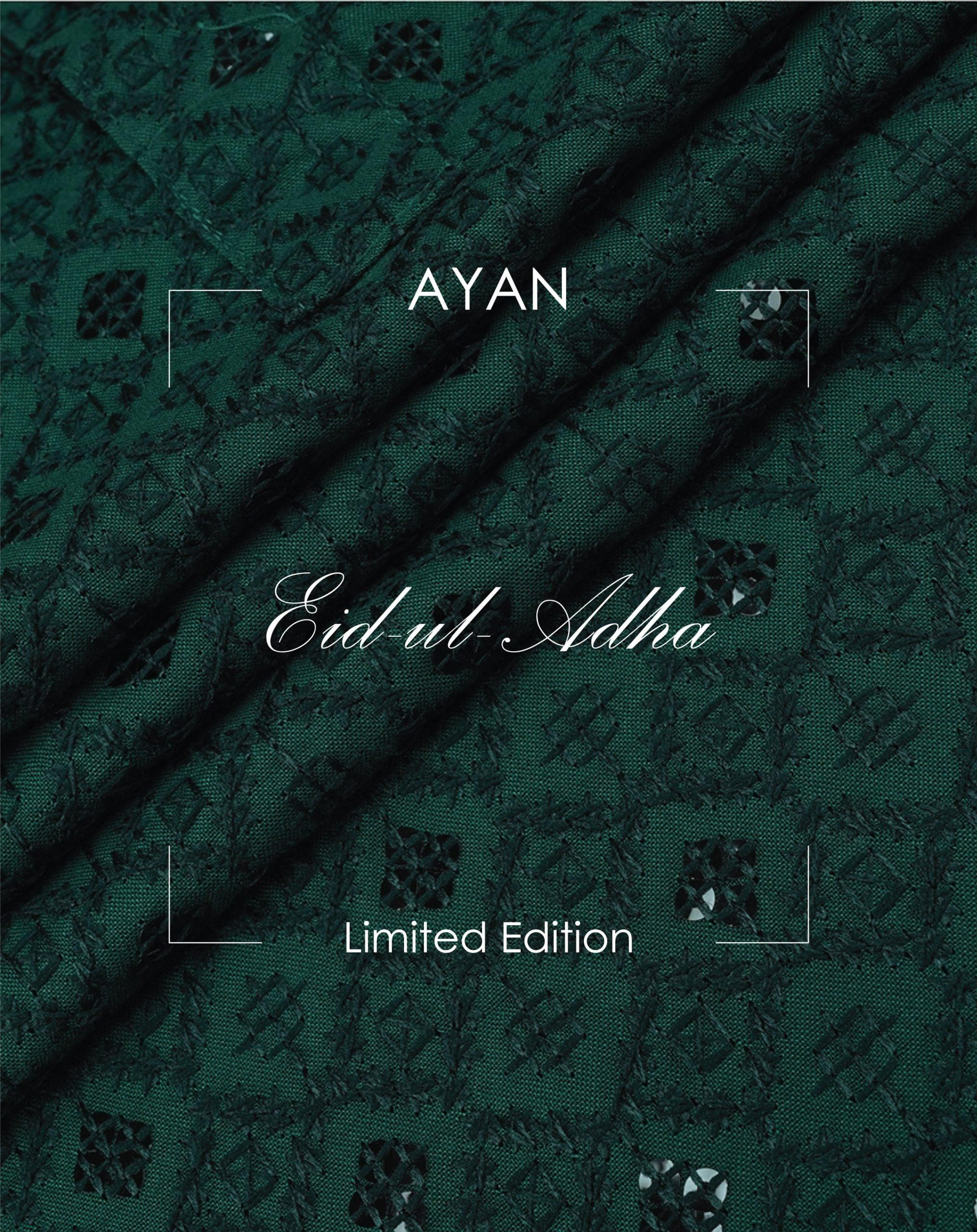 Ayan Premium Embellished Panjabi - Witness Classic